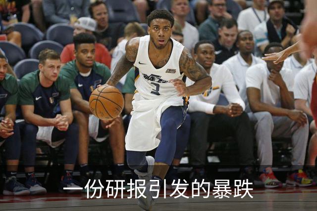 一份研报引发的暴跌