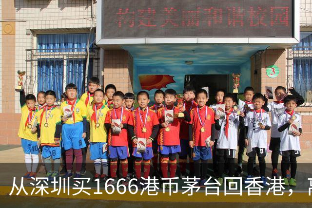 从深圳买1666港币茅台回香港，离港不够24小时没申报被罚8000多