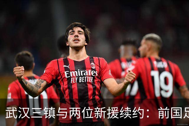 武汉三镇与两位新援续约：前国足主力重返中甲