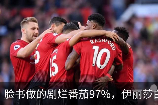 脸书做的剧烂番茄97%，伊丽莎白·奥尔森这部没人看过