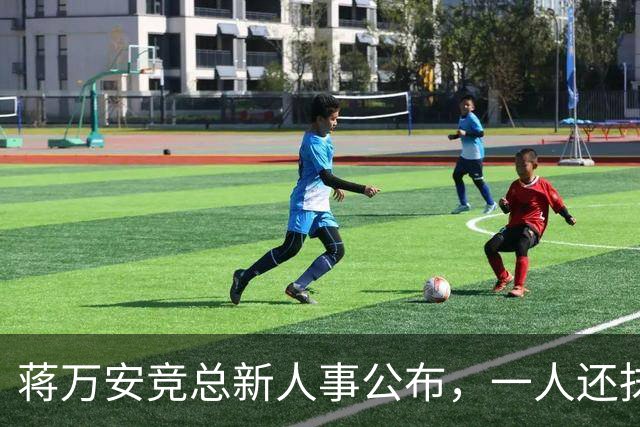 蒋万安竞总新人事公布，一人还抹黑过大陆AI，绿营瞄准七县市