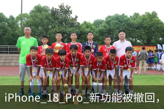 iPhone 18 Pro 新功能被撤回，网友炸了！